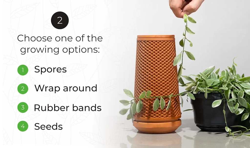 terraplanter screenshot 7 of 10