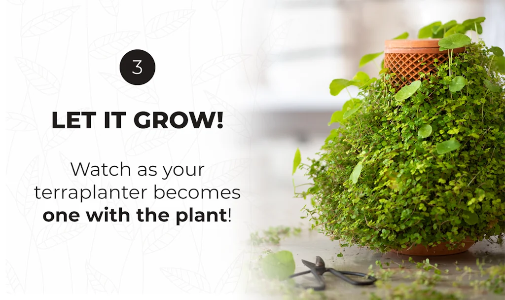 terraplanter screenshot 8 of 10