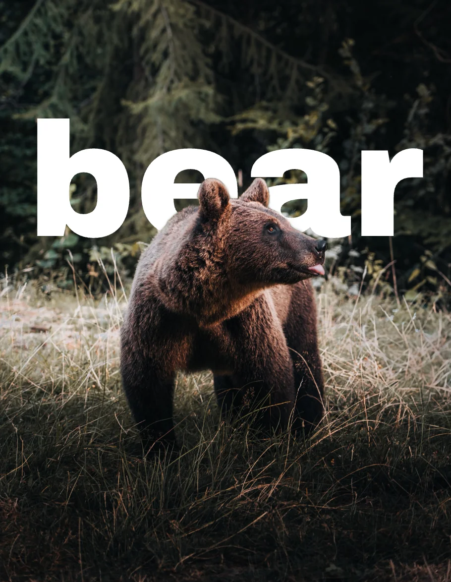 Text Behind Image screenshot 4 of 13