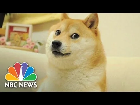 The Doge NFT screenshot 1 of 14