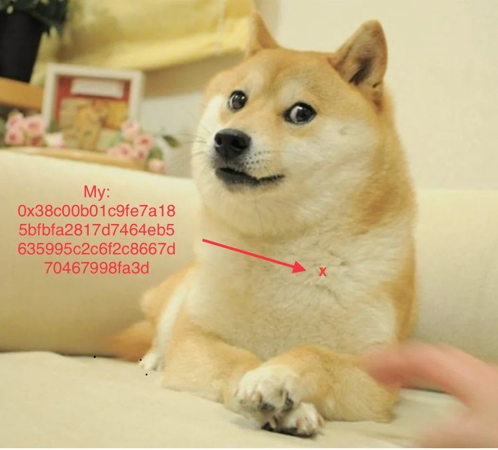 The Doge NFT screenshot 8 of 14