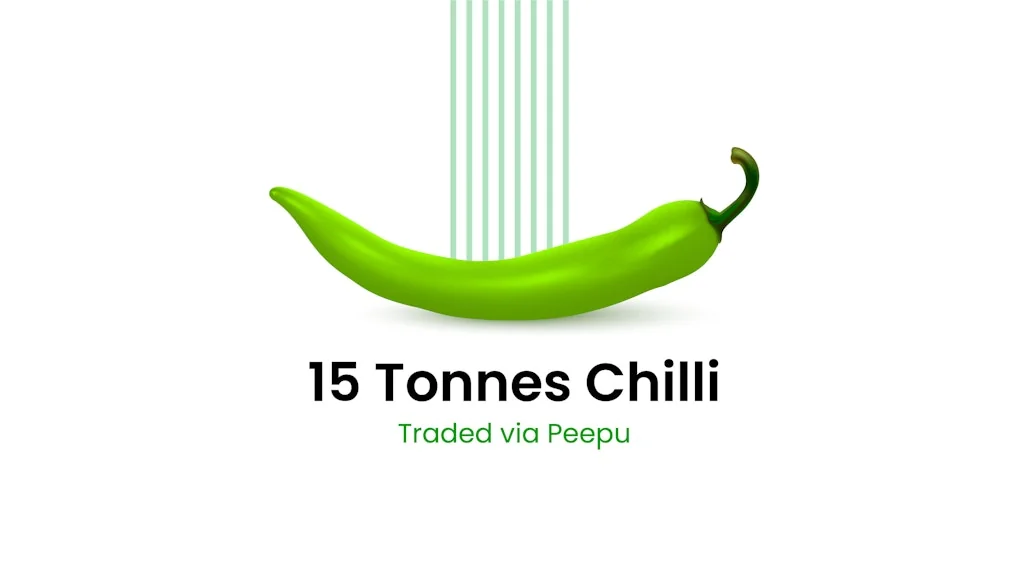 ThinSeed Unlimited Presentation Designs screenshot 1 of 8