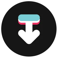 TikTok Downloader logo