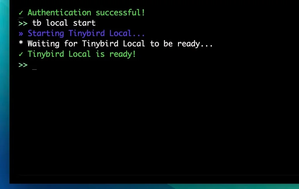 Tinybird screenshot 2 of 4