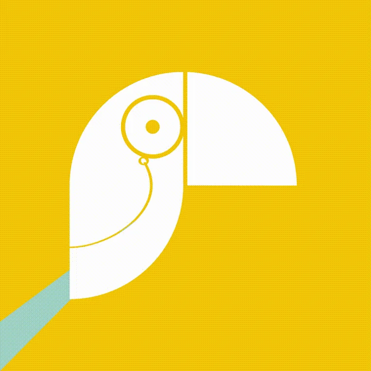 Toucan - Data Storytelling  logo