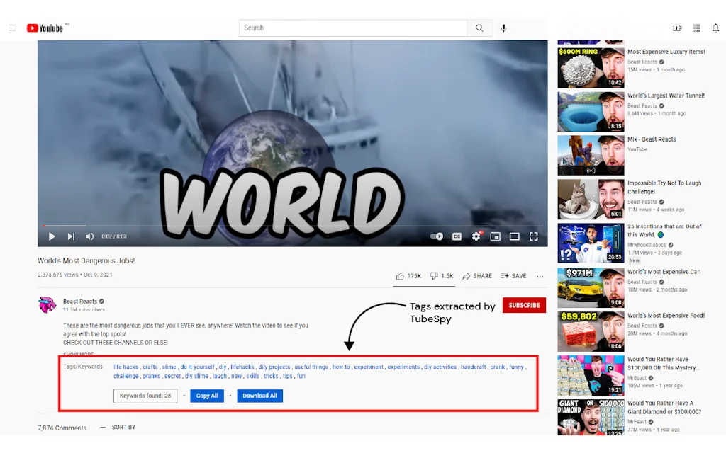 Tube Spy screenshot 2 of 2