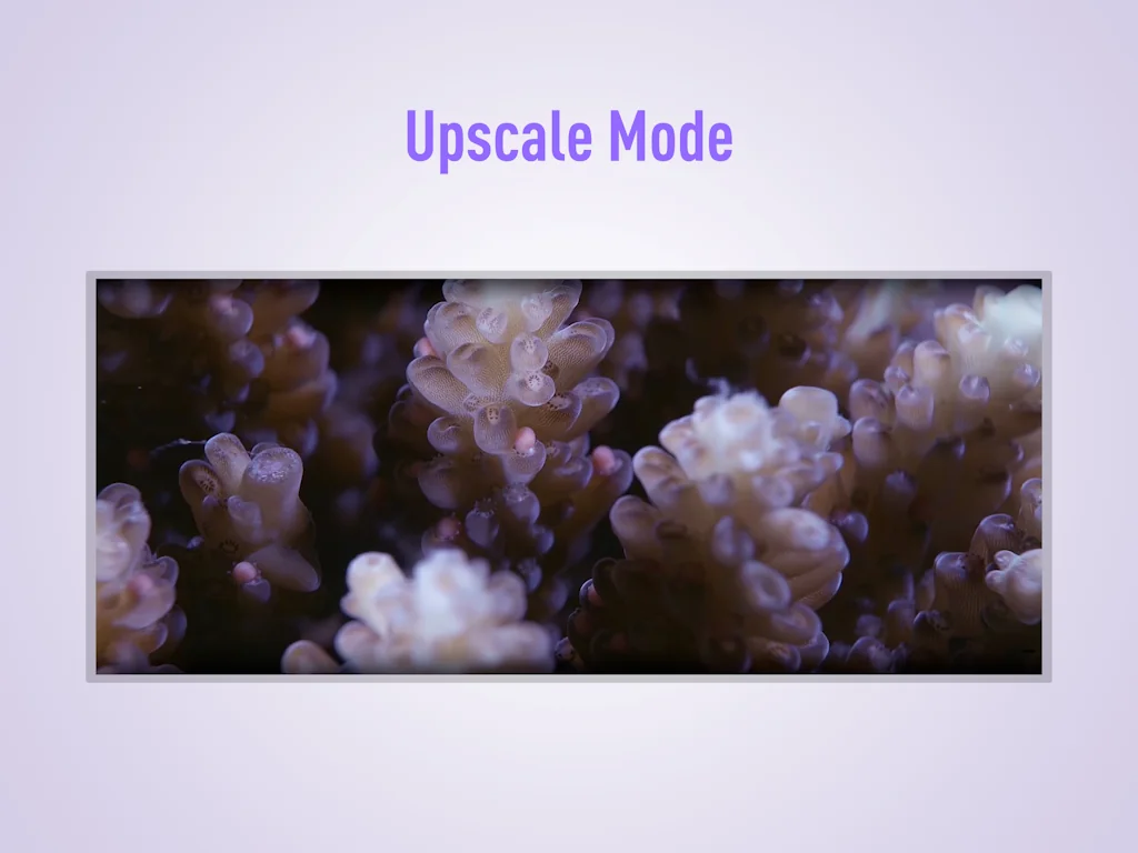 UltraWideo screenshot 3 of 4