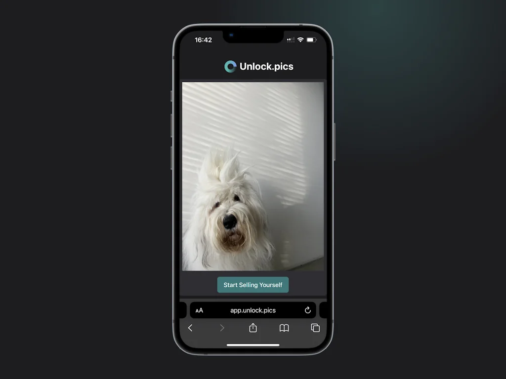 Unlock.pics screenshot 6 of 6