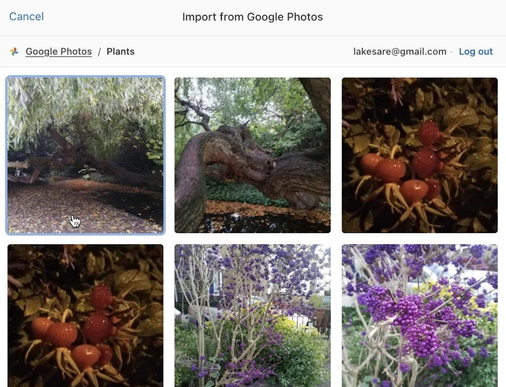 Uppy screenshot 4 of 5