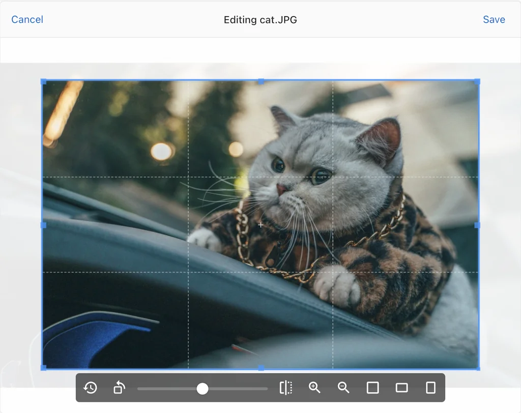 Uppy screenshot 5 of 5