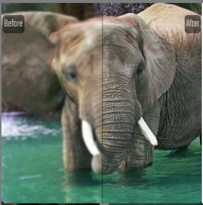 Upscaler screenshot 1 of 2