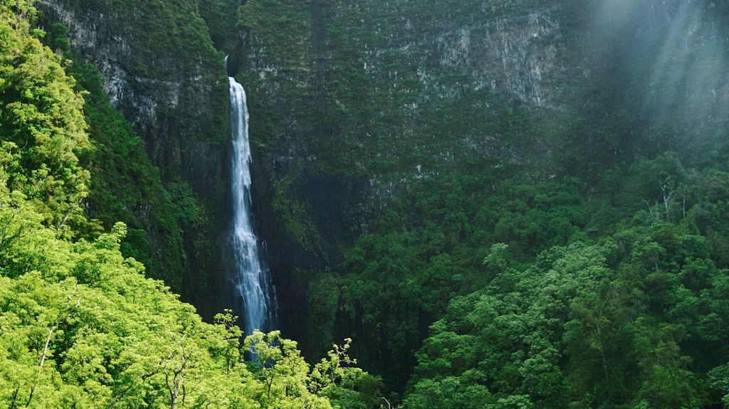 Videoblocks by Storyblocks screenshot 1 of 4