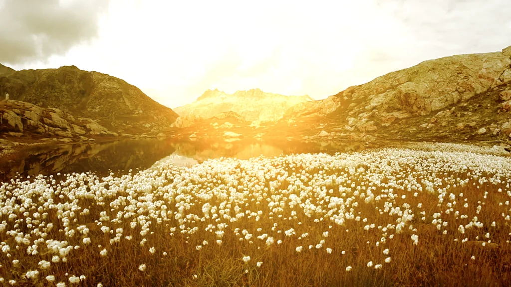 Videoblocks by Storyblocks screenshot 4 of 4