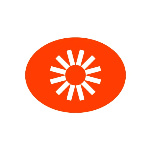 Visual Electric logo