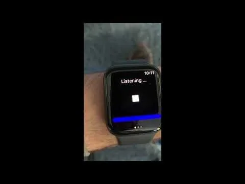 Voice in a Can screenshot 1 of 4