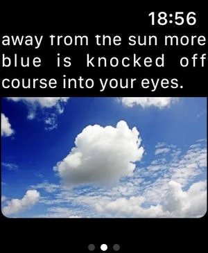 Voice in a Can screenshot 3 of 4