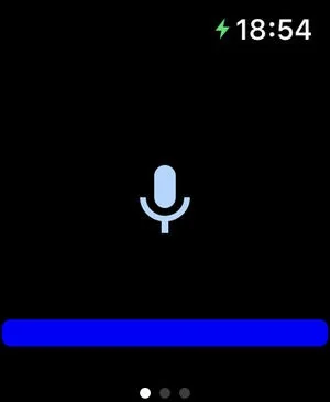 Voice in a Can screenshot 4 of 4