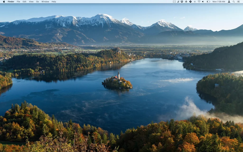 Wallcat screenshot 1 of 2