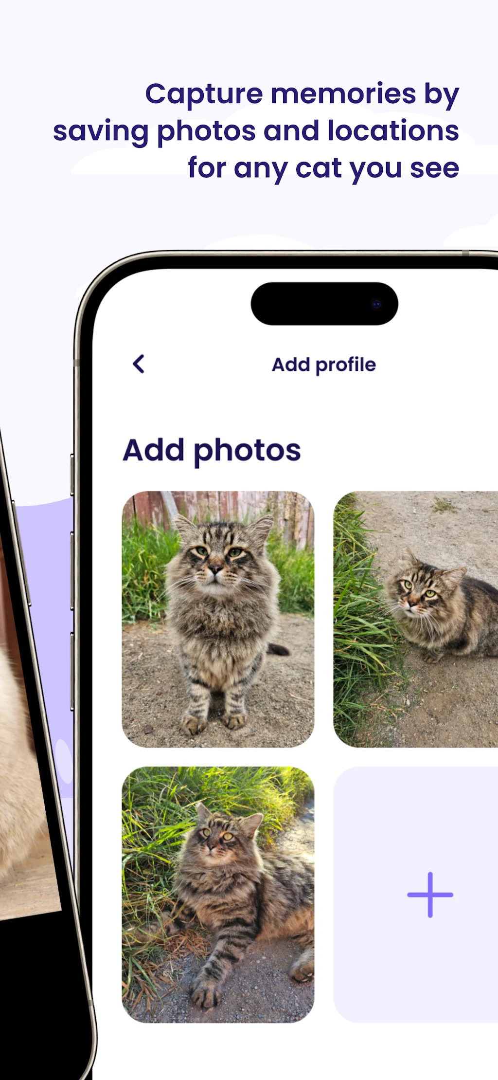 Whisker Tracker - Cat Facial Recognition screenshot 4 of 8