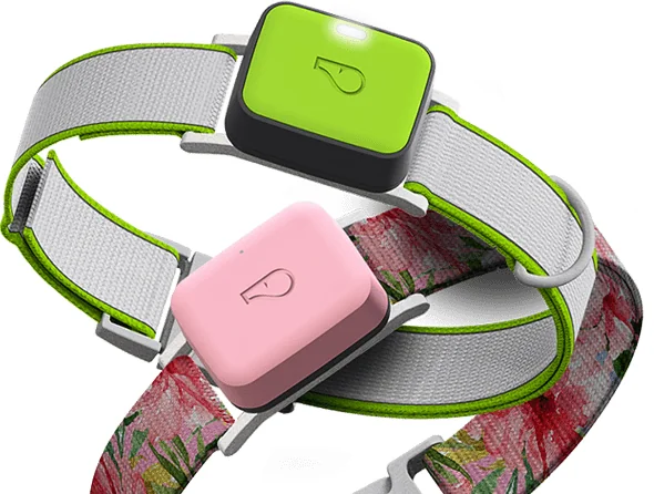 Whistle 3 screenshot 1 of 6