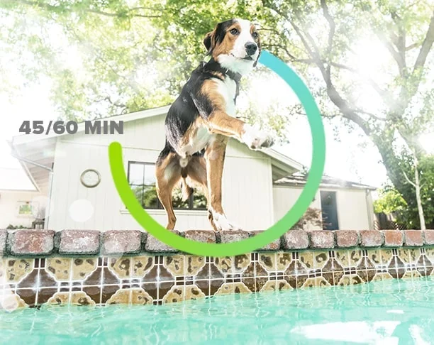 Whistle 3 screenshot 3 of 6