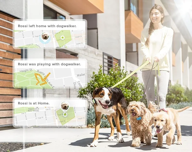 Whistle 3 screenshot 5 of 6