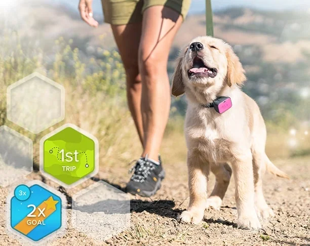 Whistle 3 screenshot 6 of 6