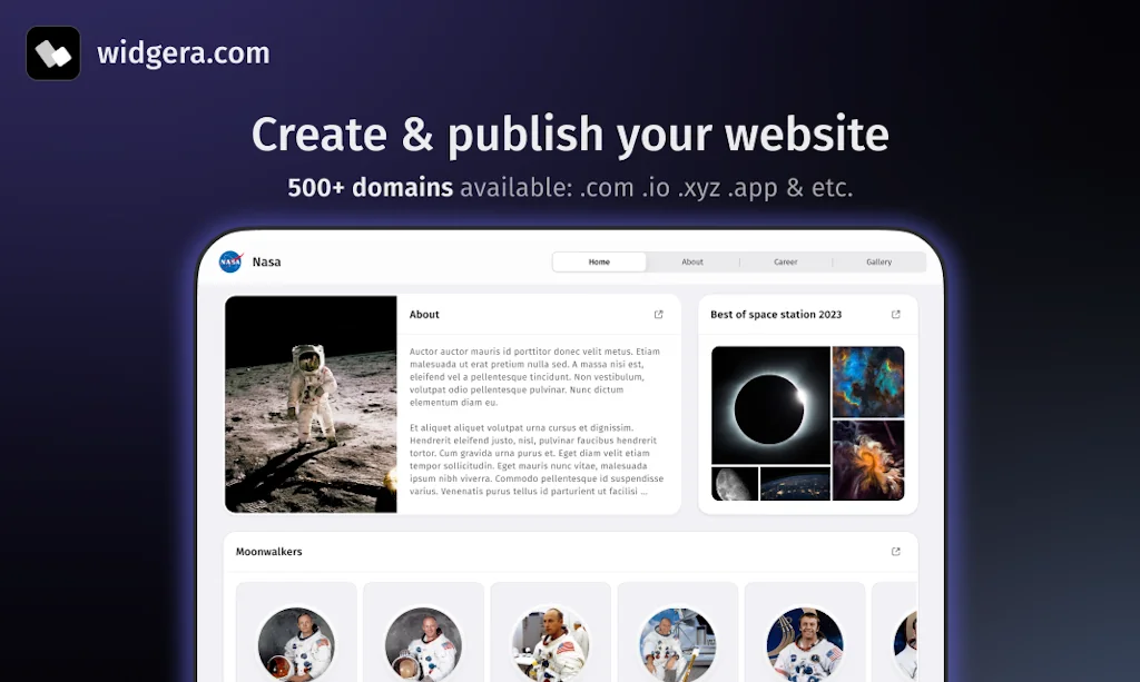 Widgera screenshot 3 of 5