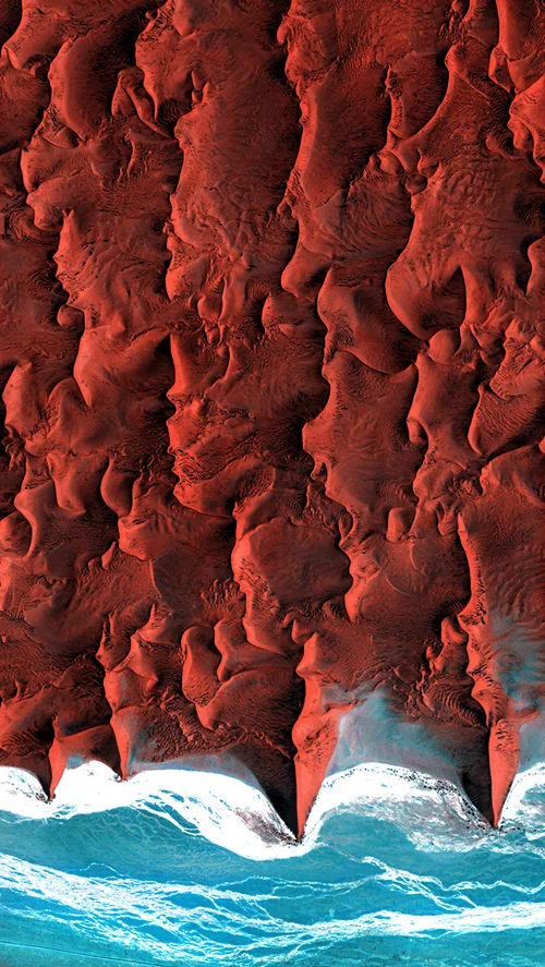 WLPPR screenshot 1 of 6