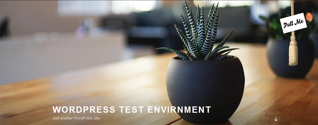 WP Curtain Raiser screenshot 2 of 3