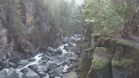 Wristcam - Made for WATCH screenshot 12 of 13