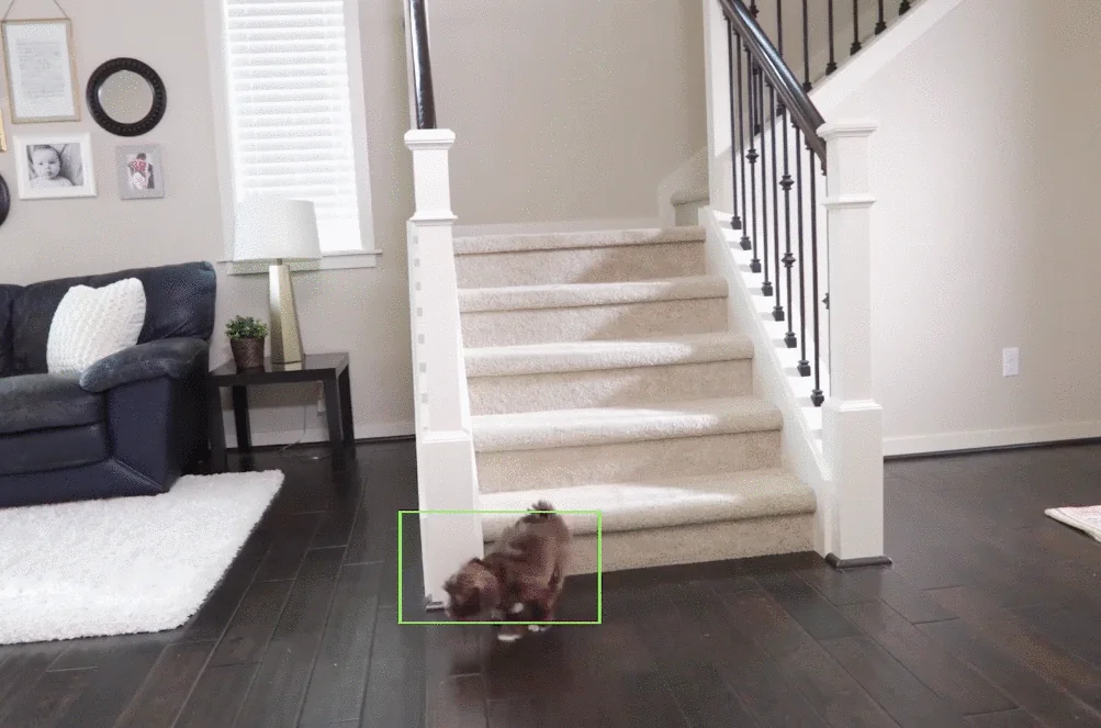 WyzeCam screenshot 4 of 10