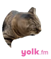 Yolk.fm screenshot 29 of 46