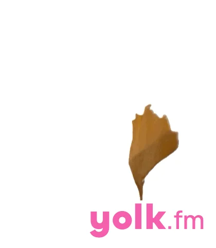 Yolk.fm screenshot 31 of 46