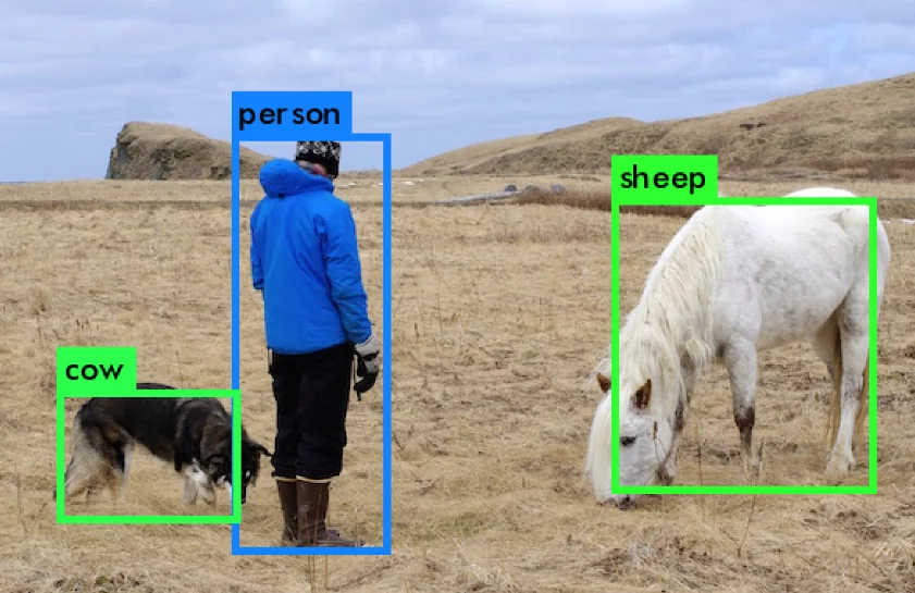 YOLO screenshot 1 of 3