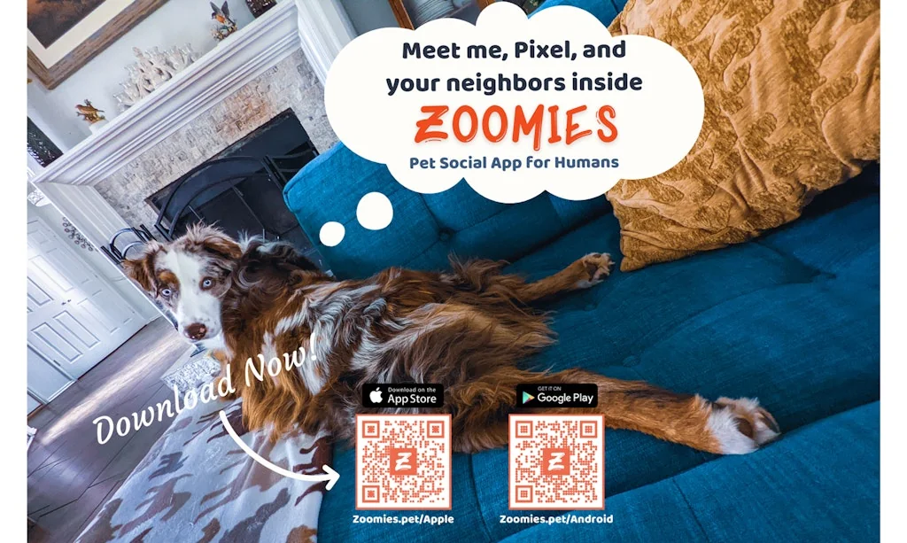 Zoomies Pet Social App for Humans screenshot 6 of 6